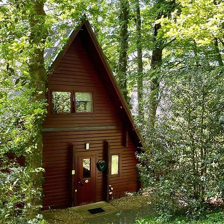 Peaceful Cowslip Lodge - Finlake Spa Resort In Devon Chudleigh Extérieur photo